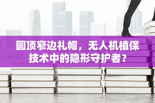 圆顶窄边礼帽，无人机植保技术中的隐形守护者？