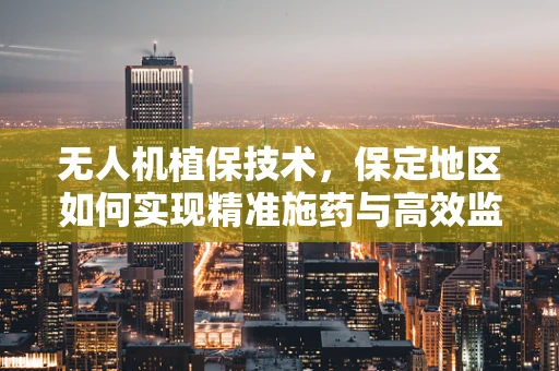 无人机植保技术，保定地区如何实现精准施药与高效监测？