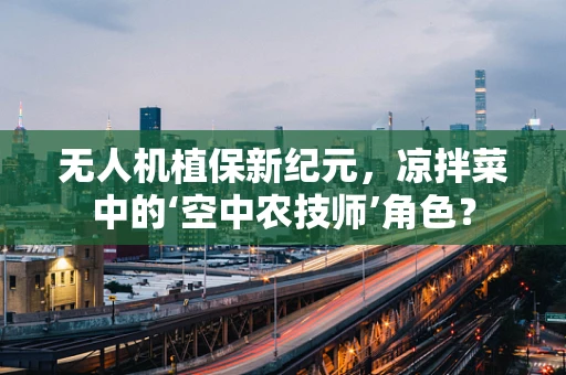 无人机植保新纪元，凉拌菜中的‘空中农技师’角色？