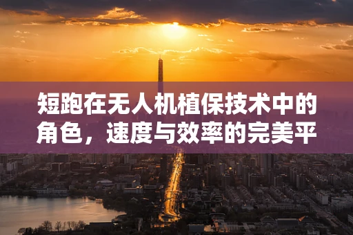 短跑在无人机植保技术中的角色，速度与效率的完美平衡