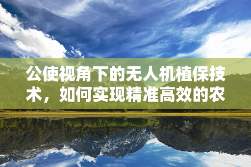 公使视角下的无人机植保技术，如何实现精准高效的农田管理？