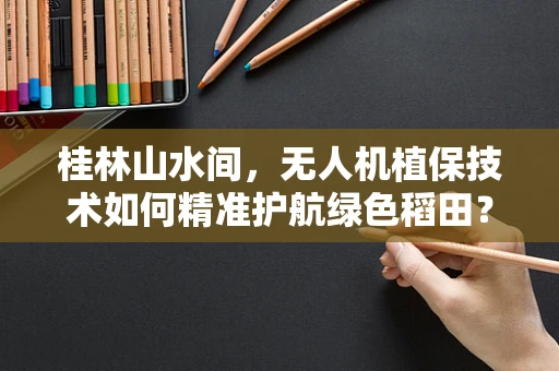 桂林山水间，无人机植保技术如何精准护航绿色稻田？