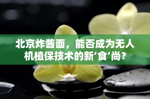 北京炸酱面，能否成为无人机植保技术的新‘食’尚？