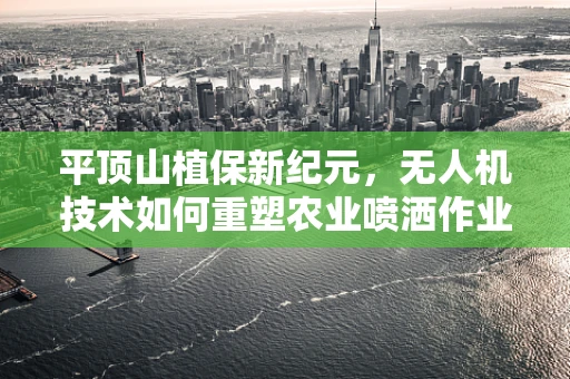 平顶山植保新纪元，无人机技术如何重塑农业喷洒作业？
