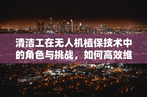 清洁工在无人机植保技术中的角色与挑战，如何高效维护无人机？