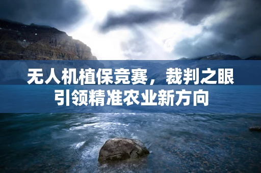 无人机植保竞赛，裁判之眼引领精准农业新方向