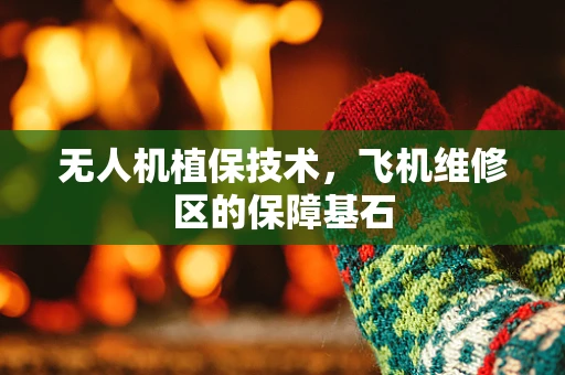 无人机植保技术，飞机维修区的保障基石