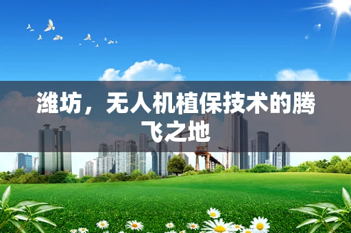 潍坊，无人机植保技术的腾飞之地