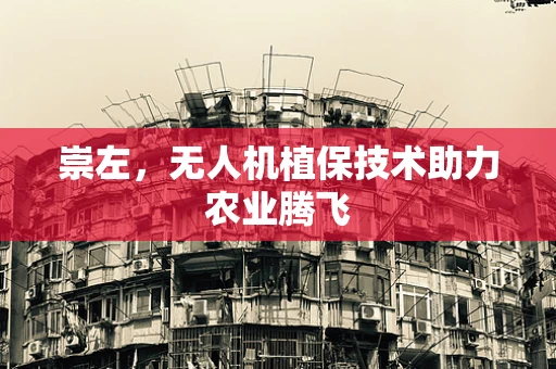 崇左，无人机植保技术助力农业腾飞