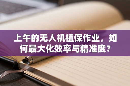 上午的无人机植保作业，如何最大化效率与精准度？
