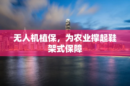 无人机植保，为农业撑起鞋架式保障