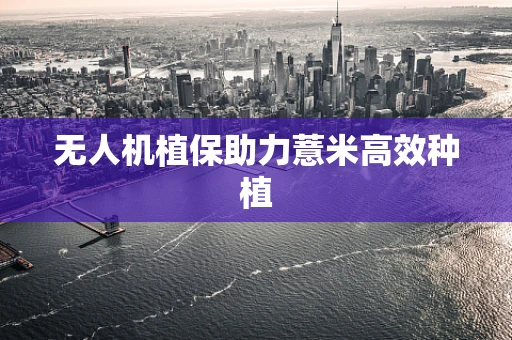 无人机植保助力薏米高效种植