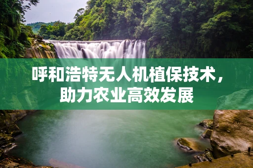 呼和浩特无人机植保技术，助力农业高效发展