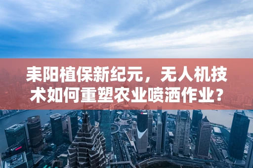 耒阳植保新纪元，无人机技术如何重塑农业喷洒作业？