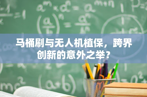 马桶刷与无人机植保，跨界创新的意外之举？