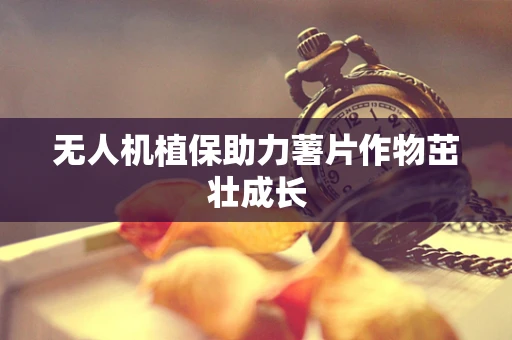 无人机植保助力薯片作物茁壮成长