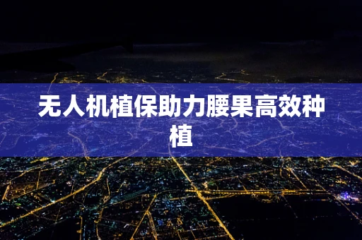 无人机植保助力腰果高效种植