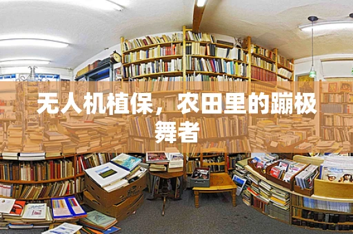 无人机植保，农田里的蹦极舞者