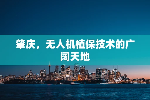 肇庆，无人机植保技术的广阔天地