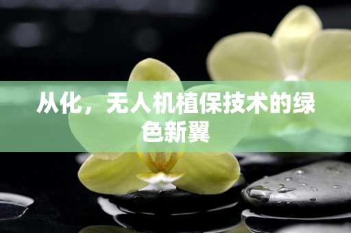 从化，无人机植保技术的绿色新翼
