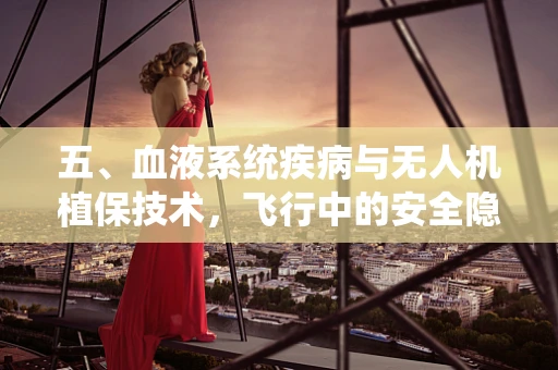 五、血液系统疾病与无人机植保技术，飞行中的安全隐忧？