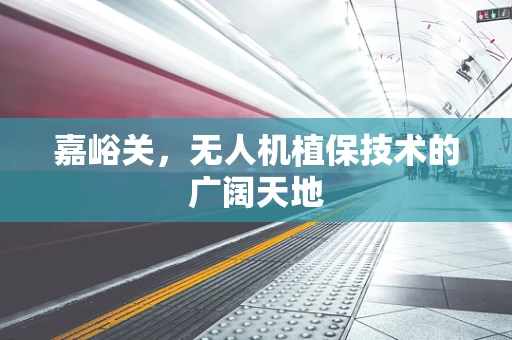 嘉峪关，无人机植保技术的广阔天地