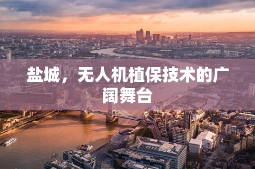 盐城，无人机植保技术的广阔舞台