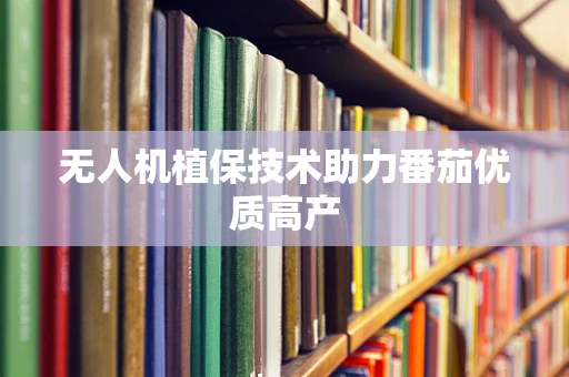无人机植保技术助力番茄优质高产