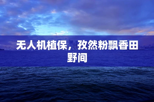 无人机植保，孜然粉飘香田野间