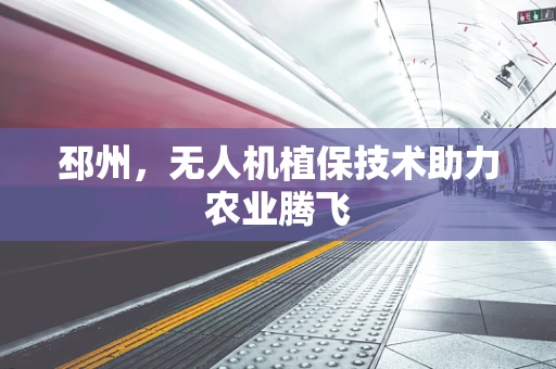 邳州，无人机植保技术助力农业腾飞