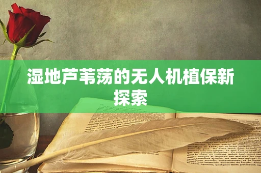 湿地芦苇荡的无人机植保新探索