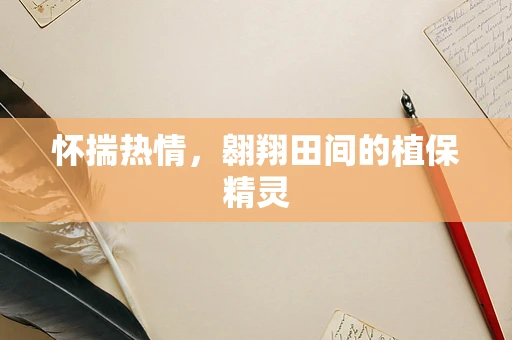 怀揣热情，翱翔田间的植保精灵