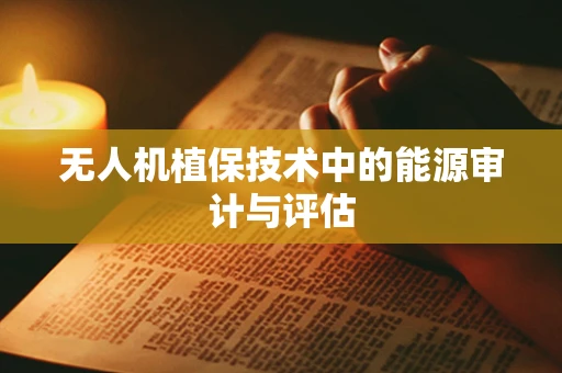 无人机植保技术中的能源审计与评估