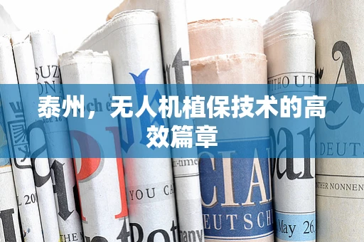泰州，无人机植保技术的高效篇章