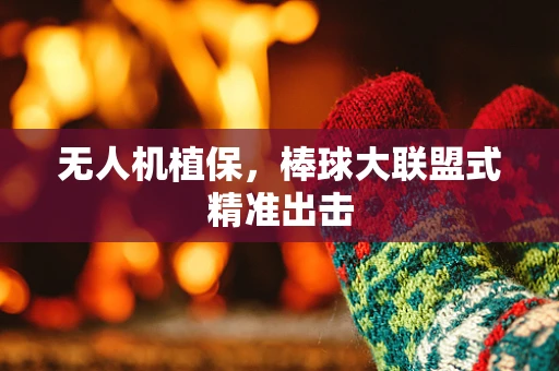 无人机植保，棒球大联盟式精准出击