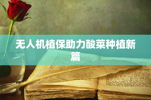 无人机植保助力酸菜种植新篇