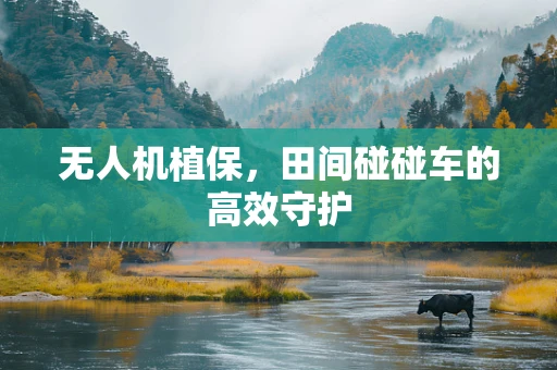 无人机植保，田间碰碰车的高效守护