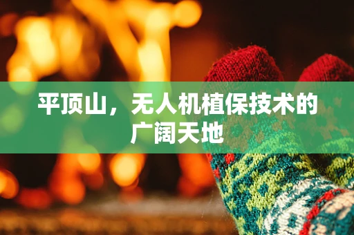 平顶山，无人机植保技术的广阔天地