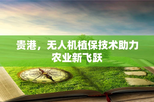 贵港，无人机植保技术助力农业新飞跃