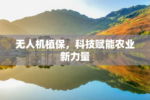 无人机植保，科技赋能农业新力量