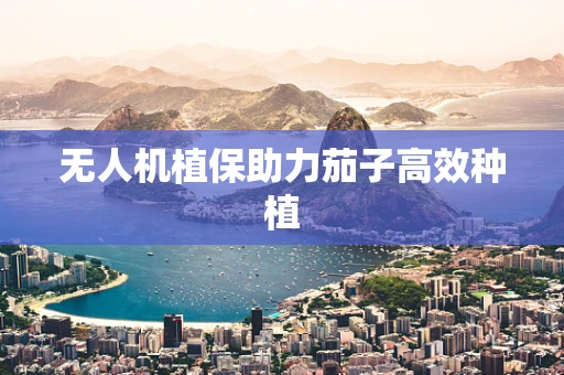 无人机植保助力茄子高效种植