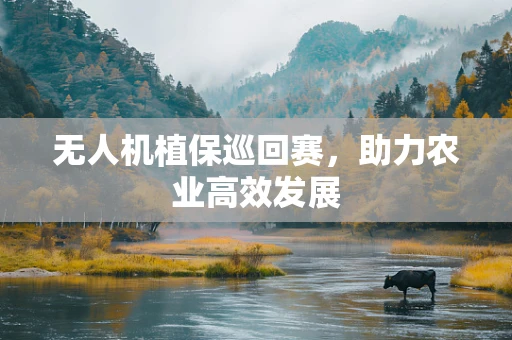 无人机植保巡回赛，助力农业高效发展
