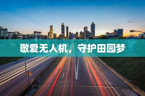 敬爱无人机，守护田园梦