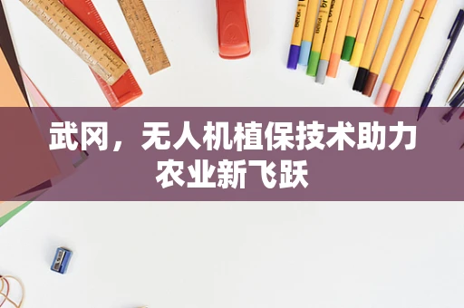 武冈，无人机植保技术助力农业新飞跃
