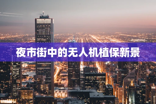 夜市街中的无人机植保新景