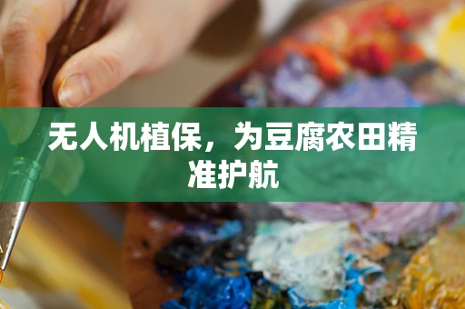 无人机植保，为豆腐农田精准护航
