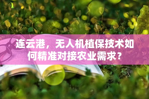 连云港，无人机植保技术如何精准对接农业需求？