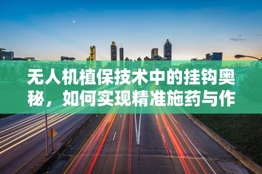无人机植保技术中的挂钩奥秘，如何实现精准施药与作物保护？