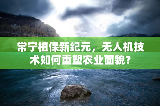 常宁植保新纪元，无人机技术如何重塑农业面貌？