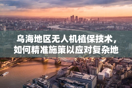 乌海地区无人机植保技术，如何精准施策以应对复杂地形挑战？